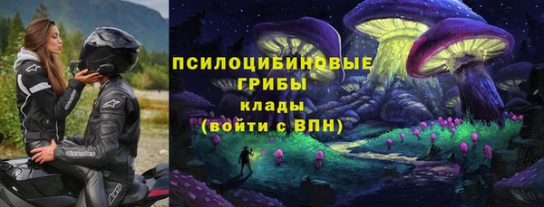 герыч Дмитров