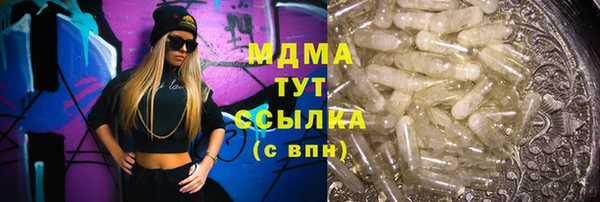 apvp Гусев