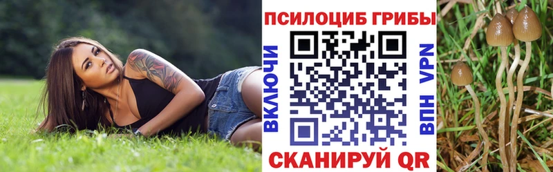 Купить закладки  Калуга  Галлюциногенные грибы Cubensis 